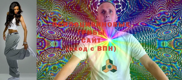 дурь Новодвинск