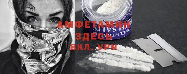 мет Новозыбков