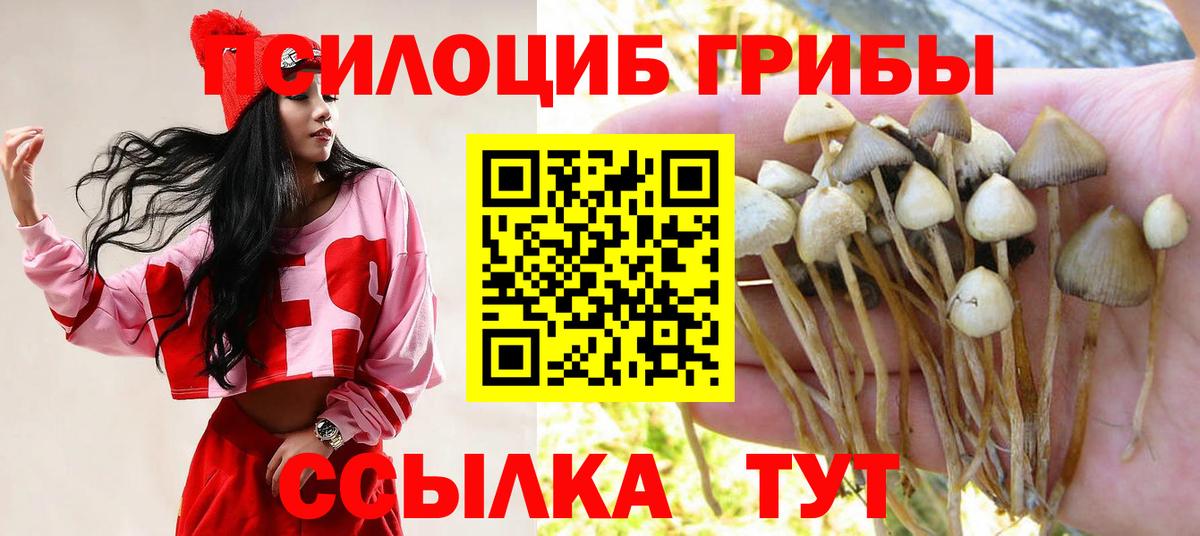 Майский  Галлюциногенные грибы MAGIC MUSHROOMS  Вход с VPN 